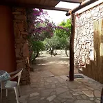 Mirto *