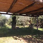 Holiday home Mirto *