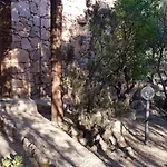 Mirto