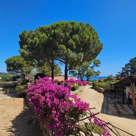 Mirto Holiday home *