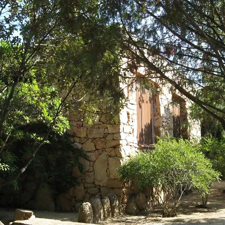 Mirto