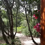 Ferienhaus Mirto *