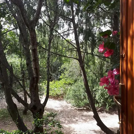 Semesterbostad Mirto *