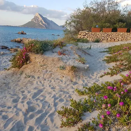 Mirto * Porto Taverna