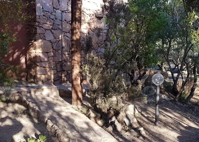 Mirto