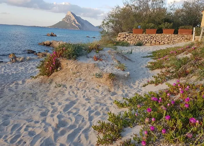 Mirto * Porto Taverna